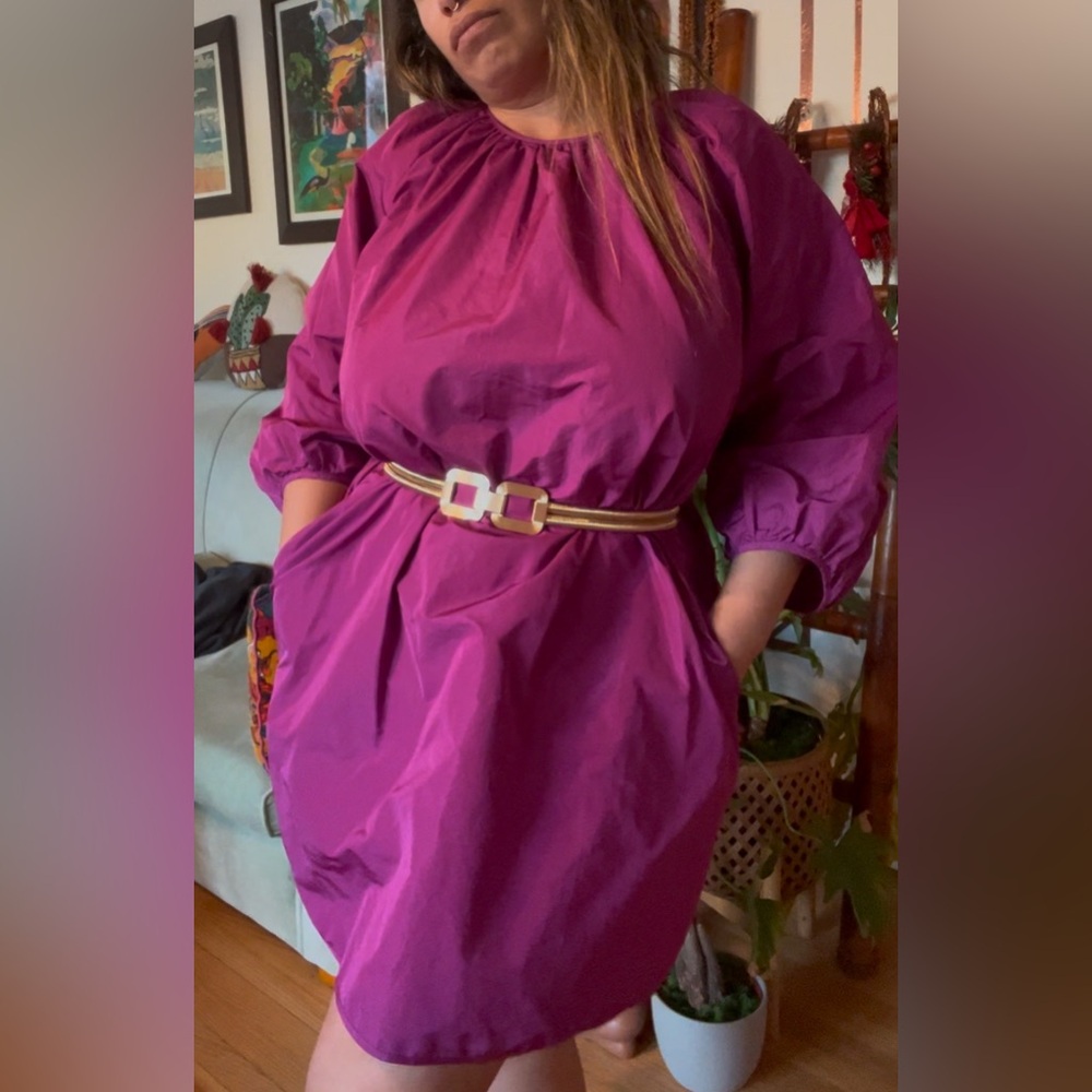 Aritzia nylon dress